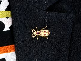 Vintage Insect Brooch wearing