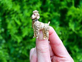 poodle brooch outside 