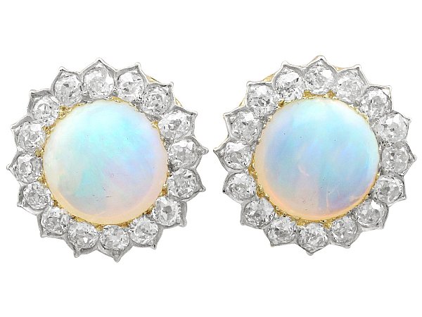 Opal Earrings  Australian Opal Jewellery  Watches  Austral Stones