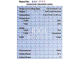 Rare Diamond Plique a Jour Brooch certificate 