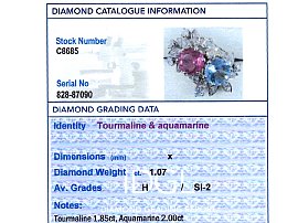 Aquamarine and Tourmaline Ring grading card