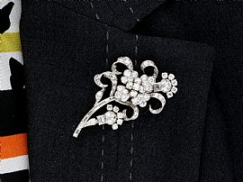  Diamond Brooch wearing