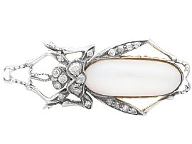 Mabe Pearl Bug Brooch for Sale
