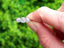 Diamond Ring Hand 