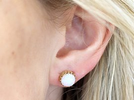 Opal Stud Earrings in Gold