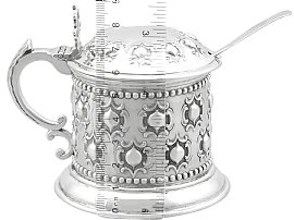 Desirable Style Silver Mustard Pot size