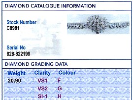 Luxury Diamond Watch Grading Report